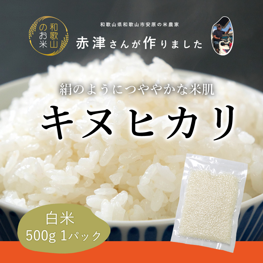 令和4年産新米 お試し 送料無料 和歌山県産 赤津直基さんのキヌヒカリ 500g メール便 ポイント消化