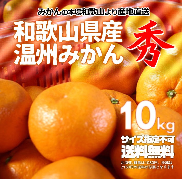 みかん 秀品 10kg （箱込約10kg）和歌山県産 温州みかん 産地直送 無