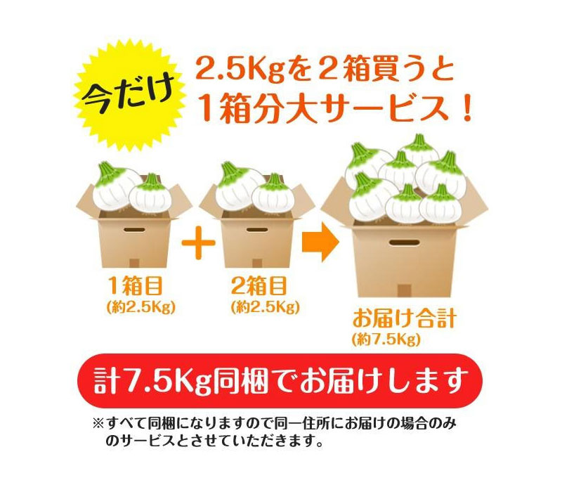 2箱お買い上げで超お買い得な1箱おまけ！