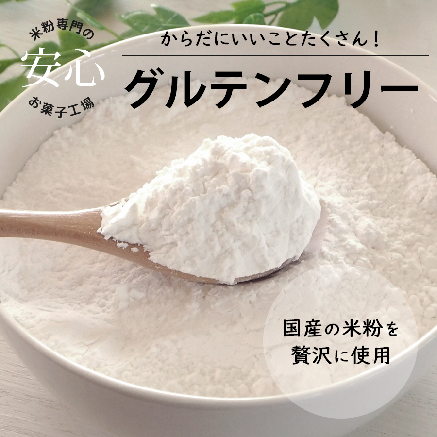 米粉クッキー 100g 4種から選べる グルテンフリー 国産 米粉 ダイエットクッキー 低糖質 お菓子 糖質制限 糖質カット 糖質オフ おやつ 置き換え ギルトフリー 食品 体に優しい 310001
