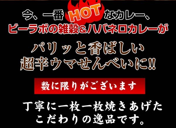 ハバネロカレーおから煎餅