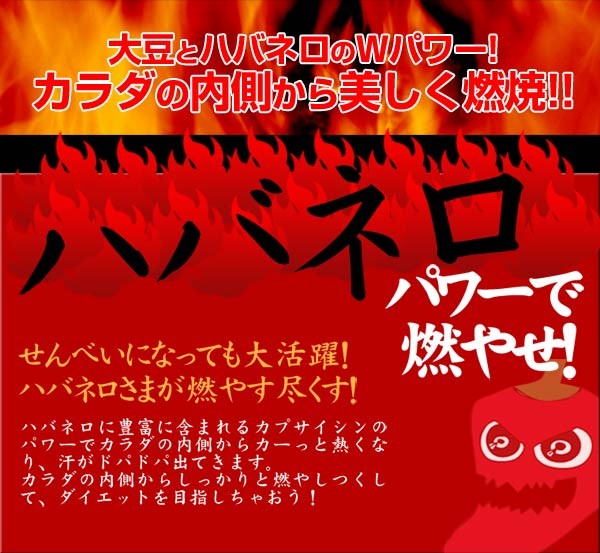 ハバネロカレーおから煎餅