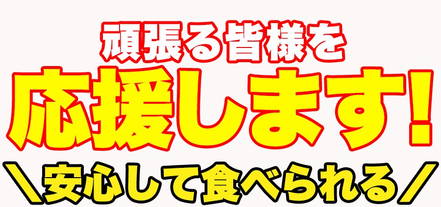 ダイエットこんにゃくチップ こんにゃく ダイエット 低カロリー スイーツ おやつ　無添加 ダイエット食品 乾燥 ダイエット ヘルシースイーツ 低カロリー お菓子 乾燥 食品