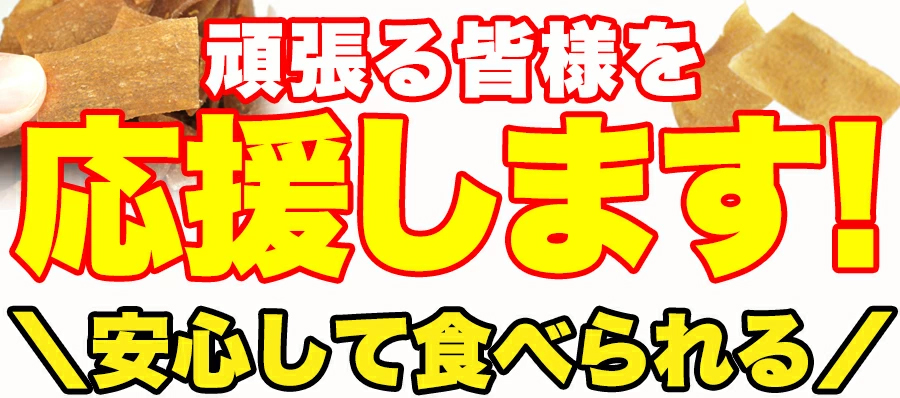 ダイエットこんにゃくチップ こんにゃく ダイエット 低カロリー スイーツ おやつ　無添加 ダイエット食品 乾燥 ダイエット ヘルシースイーツ 低カロリー お菓子 乾燥 食品