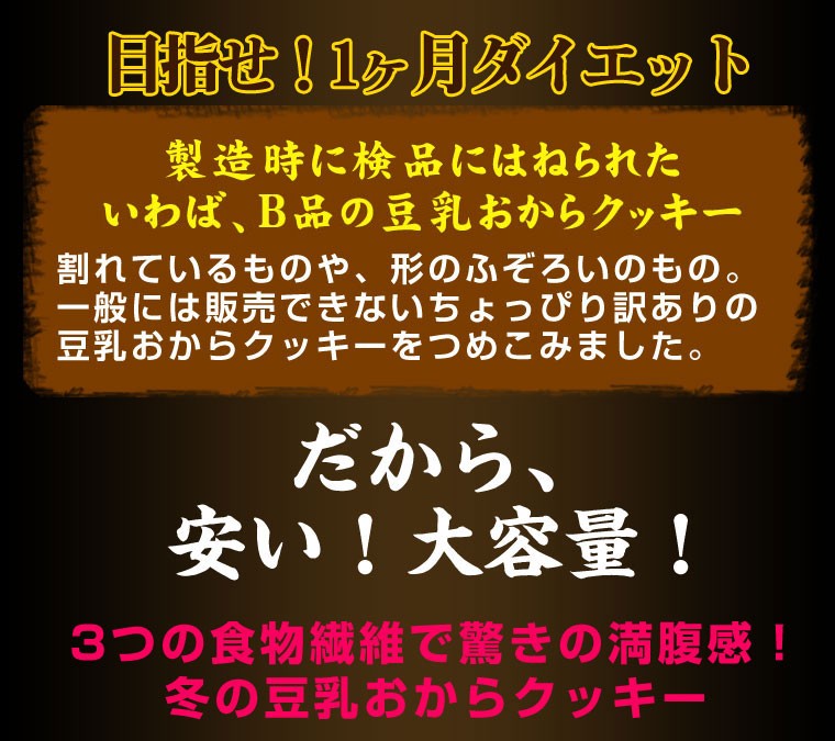 冬の豆乳おからクッキー 豆乳おからクッキー 訳あり お試し 