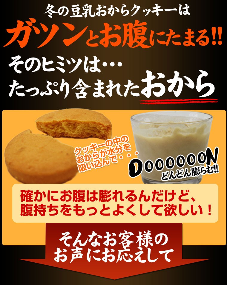 冬の豆乳おからクッキー 豆乳おからクッキー 訳あり お試し 