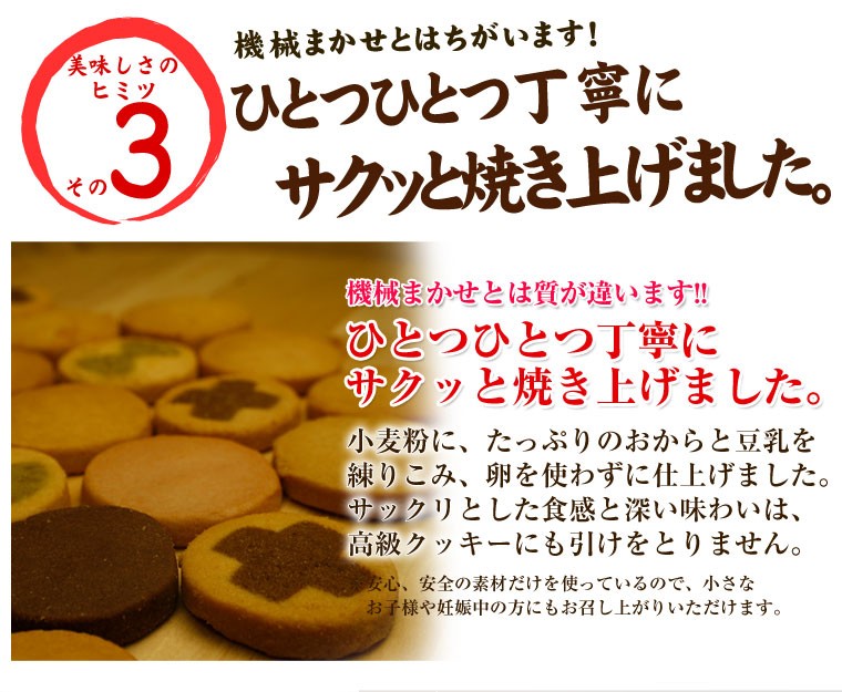 冬の豆乳おからクッキー 豆乳おからクッキー 訳あり お試し 