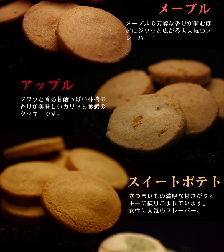 冬の豆乳おからクッキー 豆乳おからクッキー 訳あり お試し 