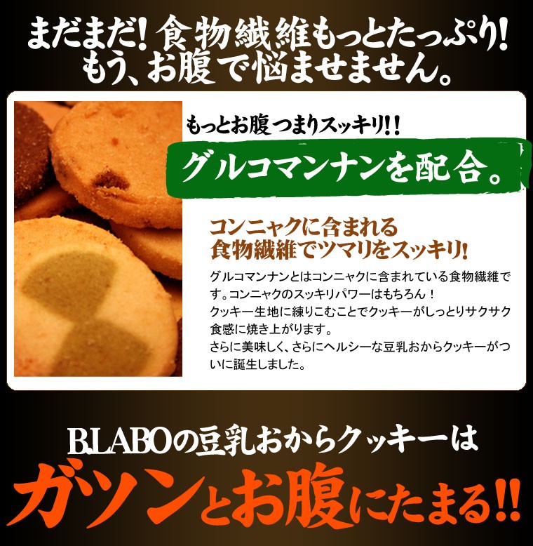 冬の豆乳おからクッキー 豆乳おからクッキー 訳あり お試し 