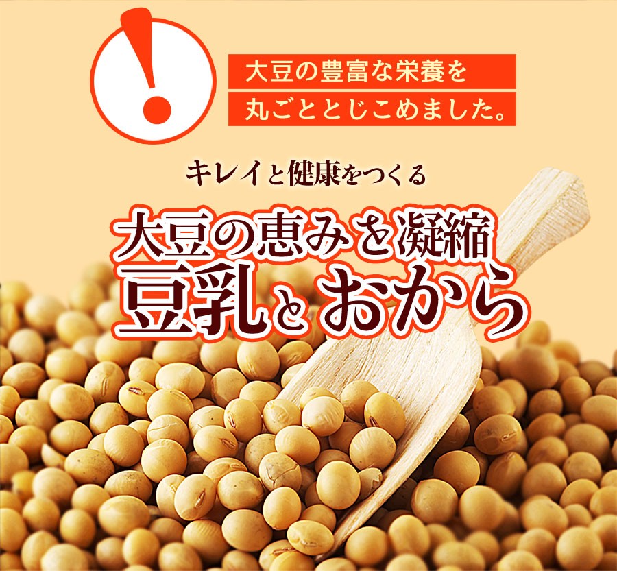 冬の豆乳おからクッキー 豆乳おからクッキー 訳あり お試し 