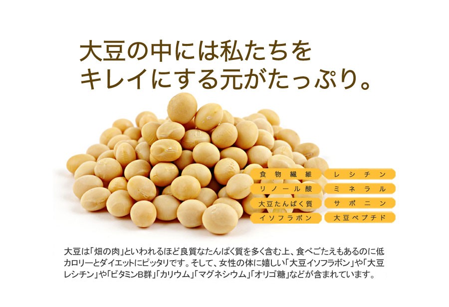 冬の豆乳おからクッキー 豆乳おからクッキー 訳あり お試し 
