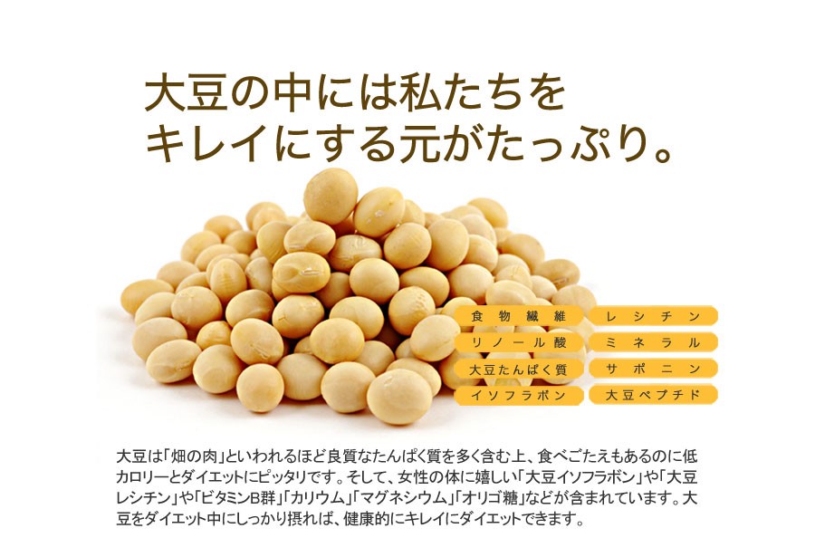 冬の豆乳おからクッキー 豆乳おからクッキー 訳あり お試し 