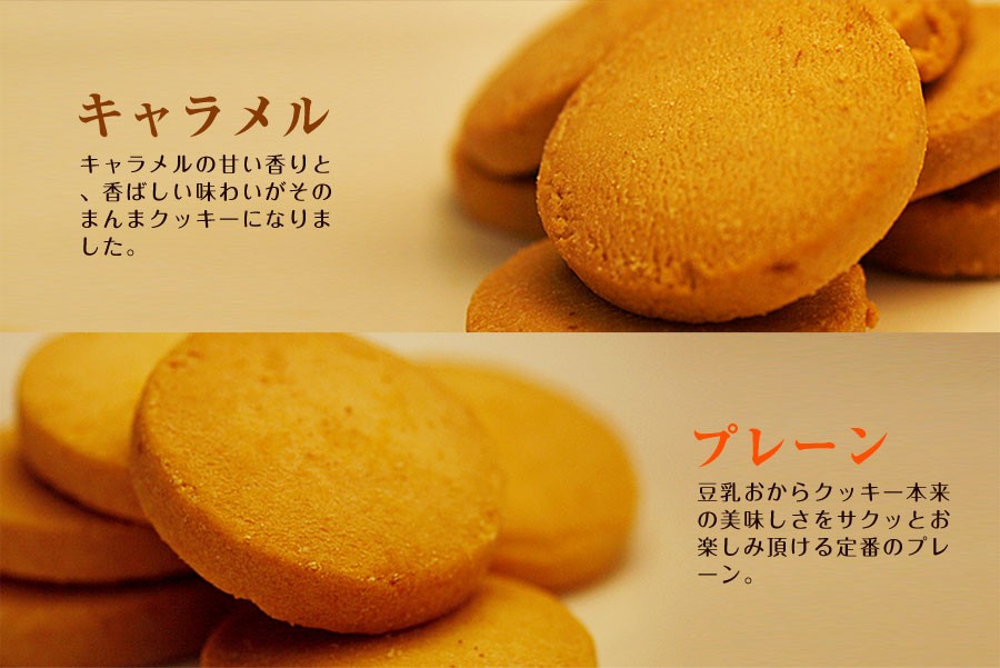 冬の豆乳おからクッキー 豆乳おからクッキー 訳あり お試し 