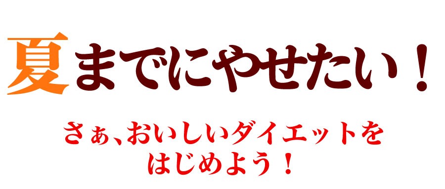 冬の豆乳おからクッキー 豆乳おからクッキー 訳あり お試し 