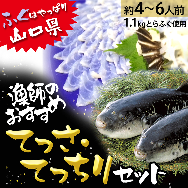 公式の 山口県 とらふぐ刺し テッサ ふぐ鍋 トラフグ ふぐ刺し 取り寄せ ふぐセット フグ刺し とらふぐセット ふぐ てっさ ふぐ刺身 てっちり 鮮魚 3254 肌触りがいい Canaldedenuncia Milplan Com Br