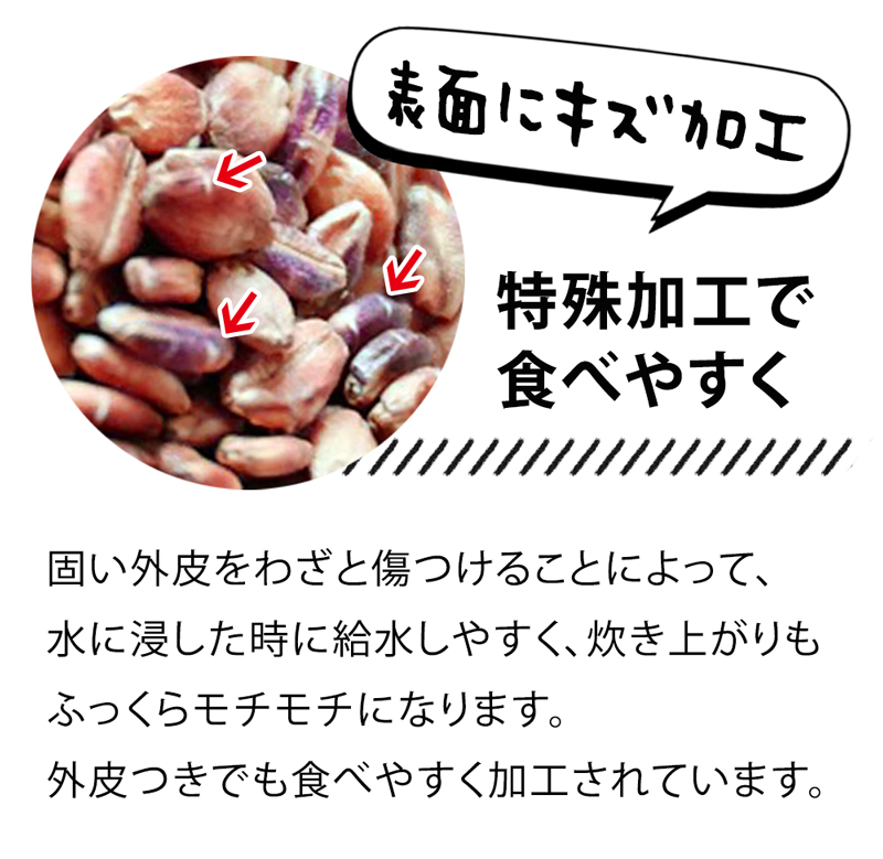 九州産 もち麦 ダイシモチ 280g 1袋 お試し 国産 大麦 β-グルカン 水溶性食物繊維 外皮付き 雑穀 もち麦ごはん ぷちぷち食感 ダイエット 健康