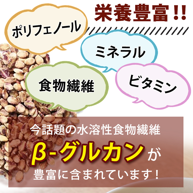 九州産 もち麦 ダイシモチ 280g 1袋 お試し 国産 大麦 β-グルカン 水溶性食物繊維 外皮付き 雑穀 もち麦ごはん ぷちぷち食感 ダイエット 健康