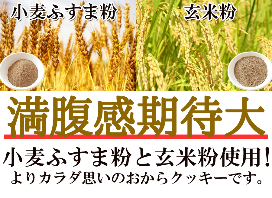 大豆ブラン 豆乳おからクッキー 1kg 訳あり 割れ 食物繊維 健康 低GI 大豆焼き菓子 おからクッキー ダイエット お菓子 おやつ 低糖質 大容量 満腹 325219-1000