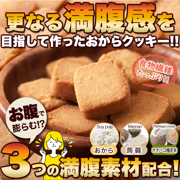 【☆訳あり・割れ】オオバコ入り 豆乳おからクッキー 500g 1Kg 大容量 無選別 豆乳クッキー プレーン味 おからクッキー 硬い 食物繊維 健康 体に優しいお菓子 体にいい おやつ 低糖質 お菓子 小麦粉不使用 蒟蒻 腹持ち 満腹感 置き換え ダイエット フード 間食【325220】
