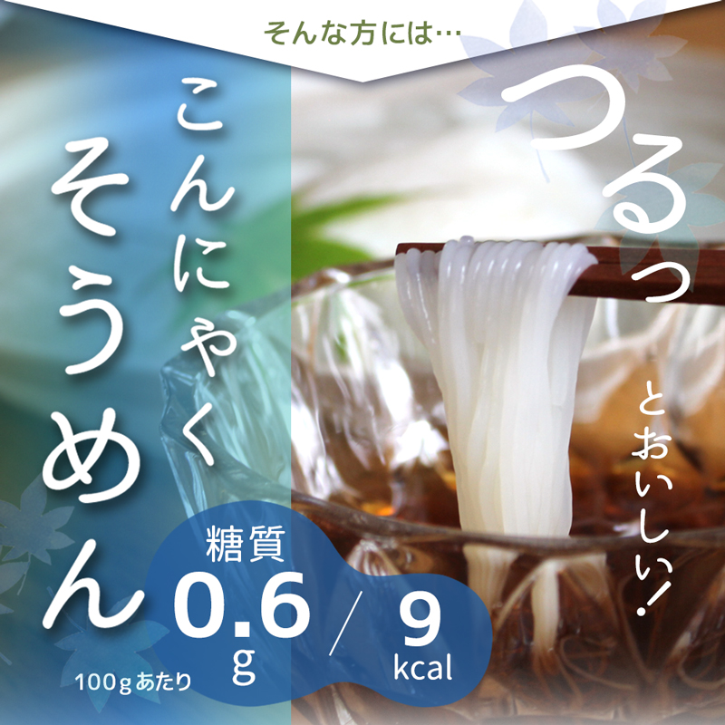 こんにゃくそうめん 蒟蒻麺 こんにゃく麺 そうめん そーめん 素麺 こんにゃくめん ダイエット 食品 ダイエット食品 低糖質麺 低糖質食品 325228-02