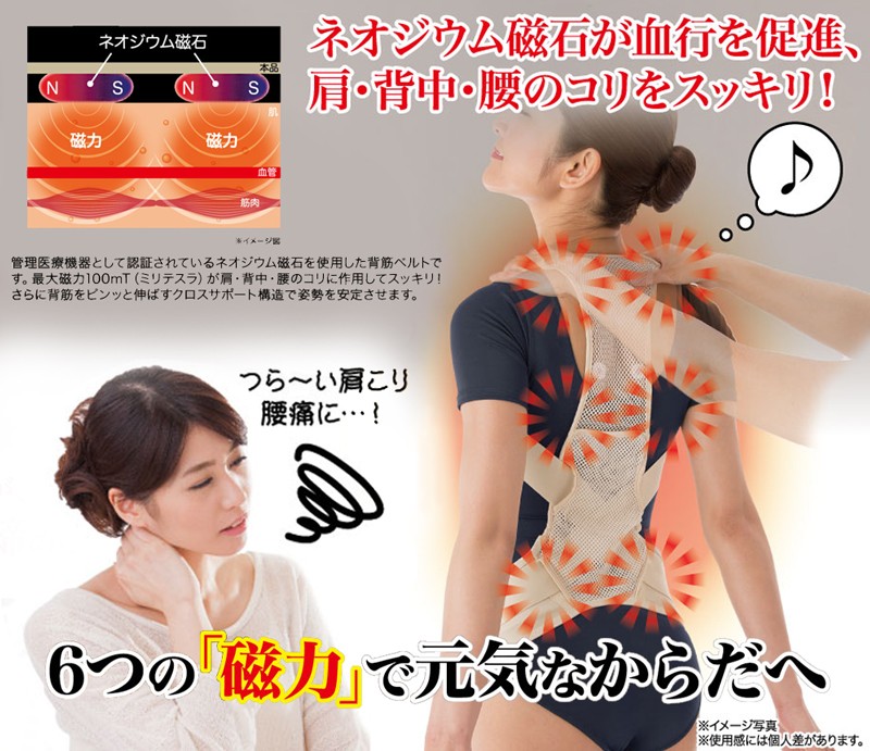 肩・腰すっきり背筋ベルト 肩こり 解消グッズ 背筋 引き締め 腰 サポーター 背筋矯正ベルト 腰痛 グッズ 姿勢矯正 ネオジウム 背筋矯正 骨盤矯正 血行 ネオジウム磁石