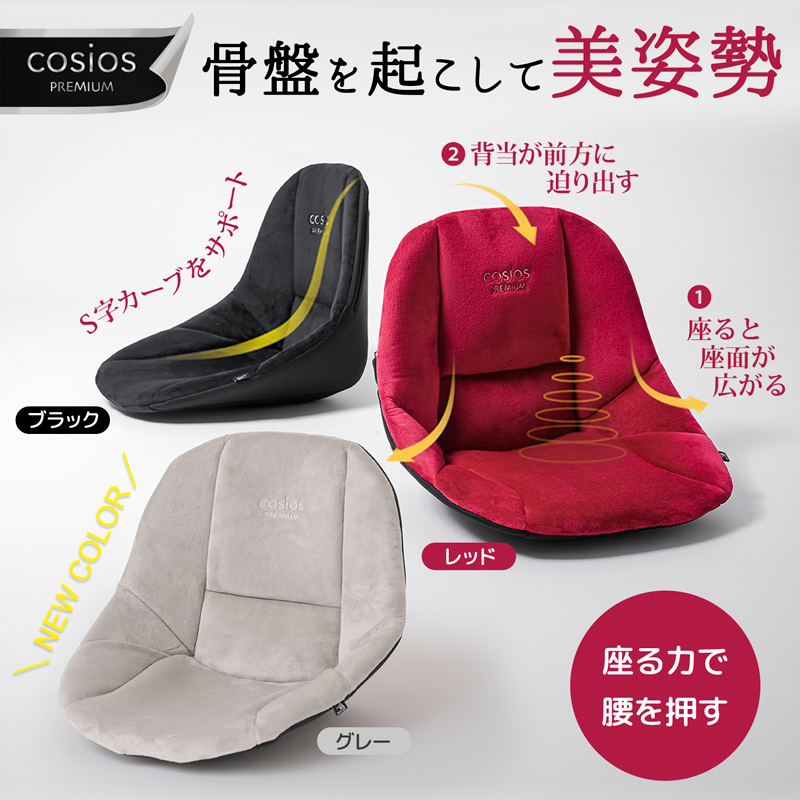 ボードクッションcosios ボードクッション コシオス 背もたれ付きクッション 姿勢矯正 座る力で腰を押す 姿勢サポートクッション 骨盤矯正クッション 背筋矯正 腰痛 クッション