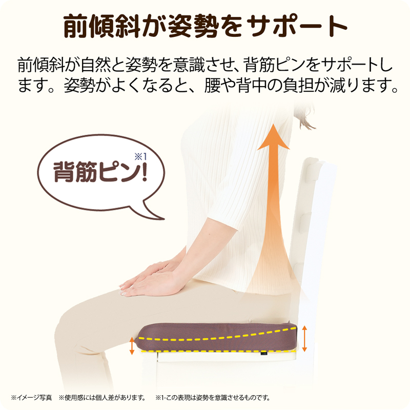 低反発 腰痛 クッション 傾斜 骨盤 サポート 美姿勢 骨盤矯正 猫背矯正 姿勢矯正 背筋 椅子 座布団 デスクワーク オフィス 車用 カバー洗濯 座骨 尾骨痛 328564