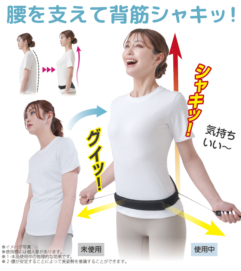 腰痛ベルト 滑車 M L XL 大きいサイズ 女性 メンズ 夏 メッシュ 腰 コルセット 薄型 腰用サポーター ガードナーベルト 腰サポーター 腰用コルセット 腰痛改善グッズ 328595