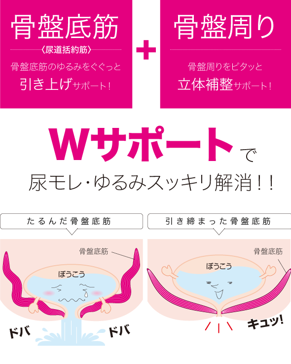 骨盤底筋サポートショーツ モレキュット 失禁パンツ 女性用 失禁ショーツ 尿漏れ 尿もれ 尿漏れパンツ 尿漏れパッド 軽失禁　防水　防臭　抗菌 