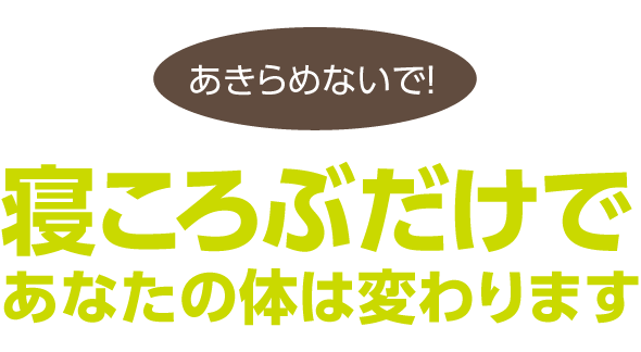 体幹 ダイエット 器具 ストレッチ器具 ダイエット 筋トレ シェイプアップ トレーニング 体幹バランス 体の歪み