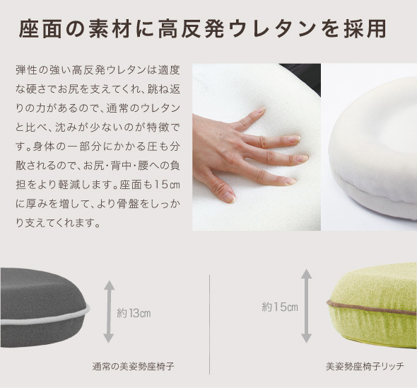 背筋がGUUUN 美姿勢座椅子リッチ