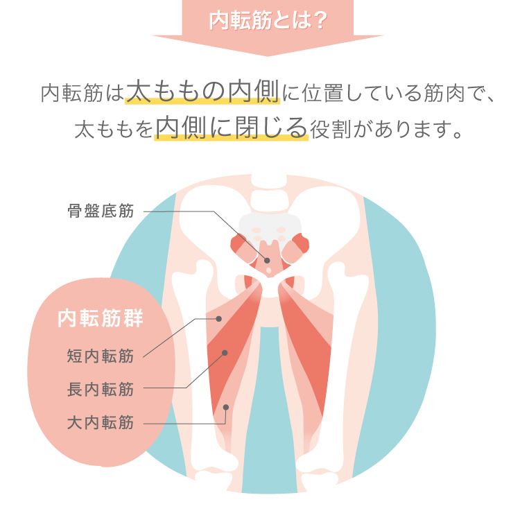 振動カラダエクササイズももキュット