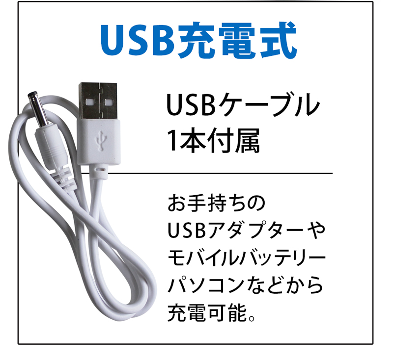 音波振動歯ブラシ 電動歯ブラシ 42000回 携帯電動歯ブラシ 音波歯ブラシ USB 充電式 USB充電 USB充電式 超音波振動歯ブラシ IPX7 防水設計 歯磨き 携帯用 歯ブラシ 替えブラシ 携帯歯ブラシ 替えブラシ付【メール便送料無料】 STICK SONIC PRO 【336033】