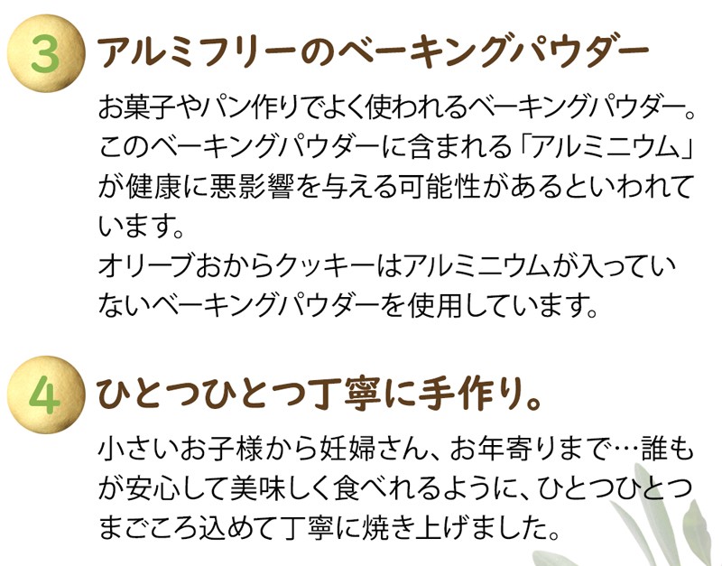 【訳あり・割れ】オリーブおからクッキー お試し100g 10枚入り【340008】