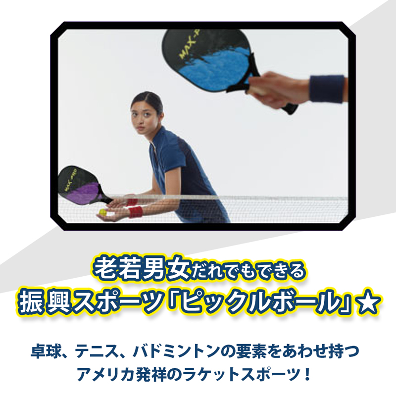 ピックルボール セット パドル×2 ボール×2 スポーツ玩具 2人プレイ