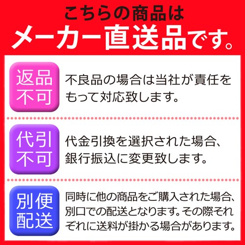 メーカー直送】 バギー 四輪 TR 幼児 電動乗用 3歳 4歳 5歳 電動 子供