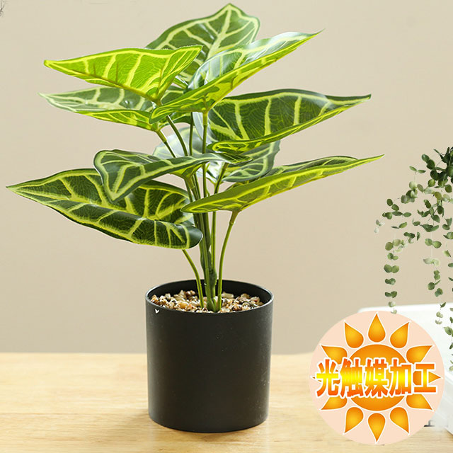 フェイクグリーン 観葉植物 光触媒 テーブルグリーン 鉢植え フェイクグリーン 観葉植物 光触媒 テーブルグリーン 鉢植え