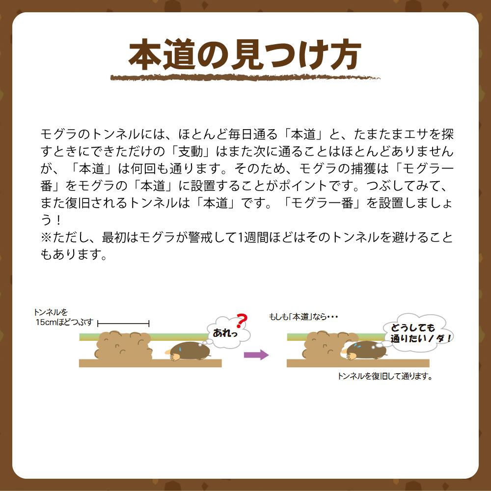 タイガー株式会社 タイガー モグラ一番