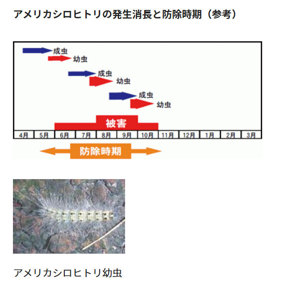 アトラック液剤