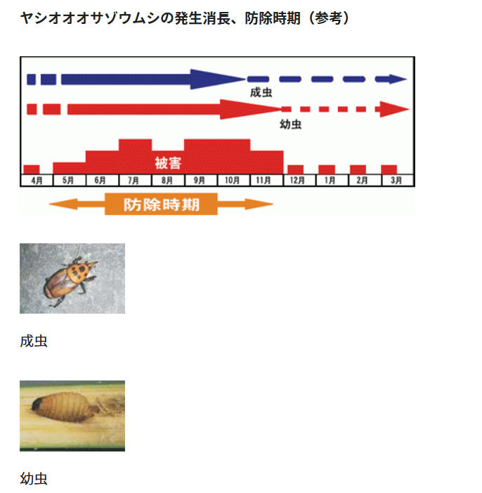 アトラック液剤
