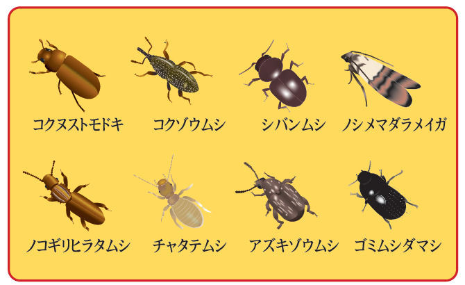 プチッとニーム
