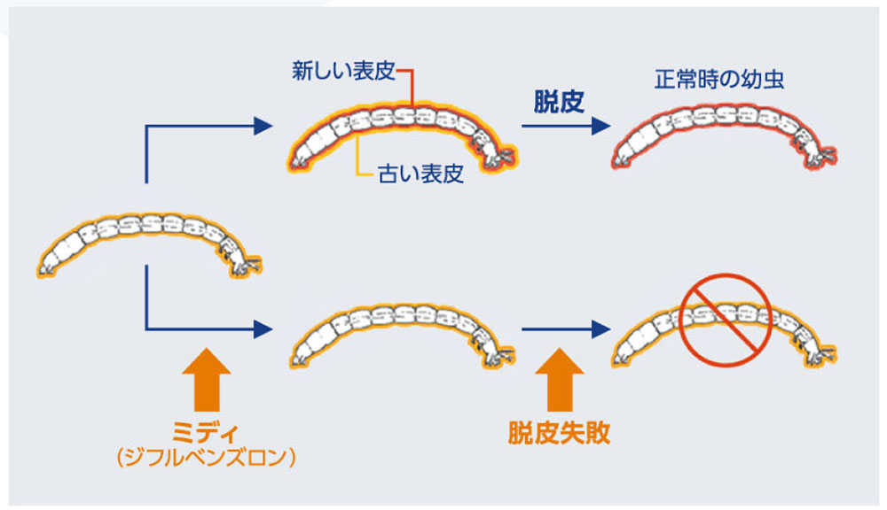 三井化学アグロ株式会社 ミディ発泡錠 1％