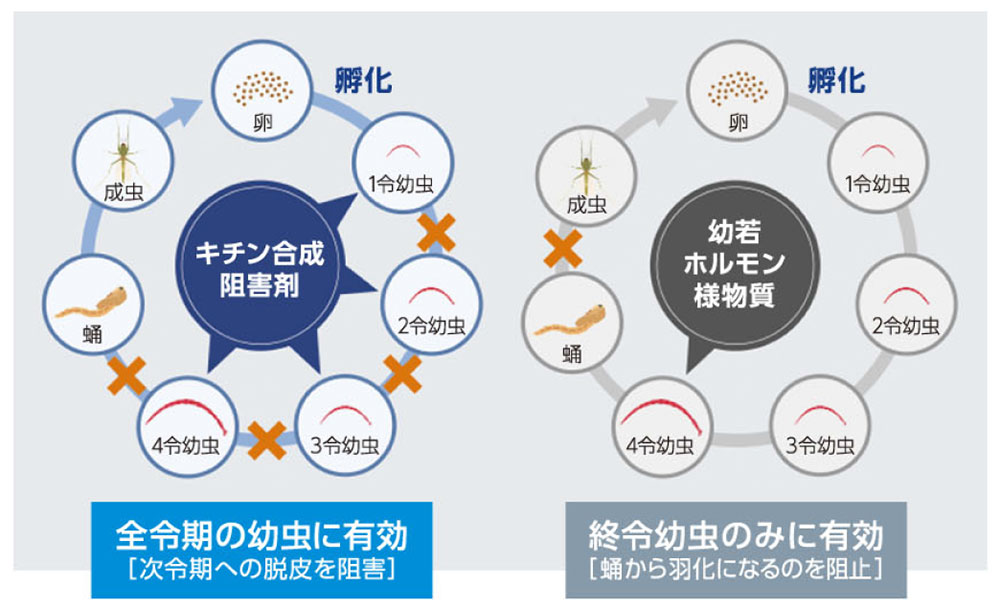 三井化学アグロ株式会社 ミディ発泡錠 1％