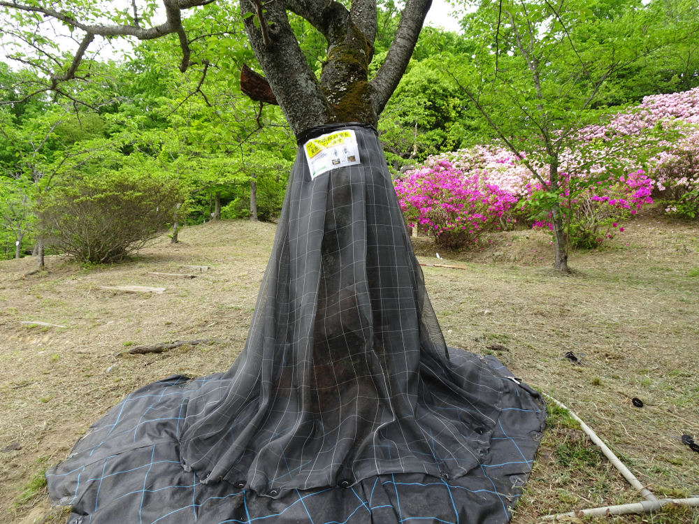 日本ワイドクロス株式会社 クビアカガードネット BKL4232