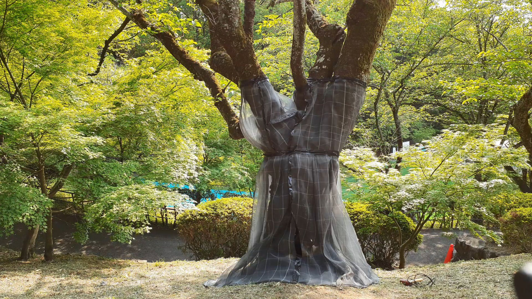 日本ワイドクロス株式会社 クビアカガードネット BKL4232