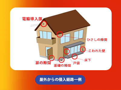 スミス通商株式会社 ねずみ用心 スプレータイプ はっかの香り