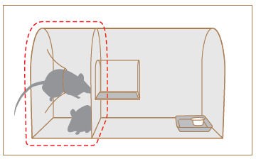 有限会社栄工業　捕獲器 栄ヒルズ