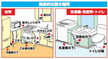 アース製薬株式会社 ブラックキャップ スキマ用