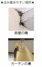 アース製薬株式会社 トコジラミ ゴキブリ アース ノズルなし