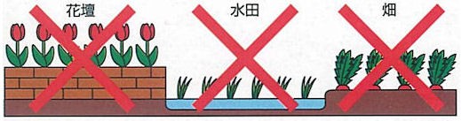 フマキラー株式会社 カダン 除草王 オールキラー粒剤